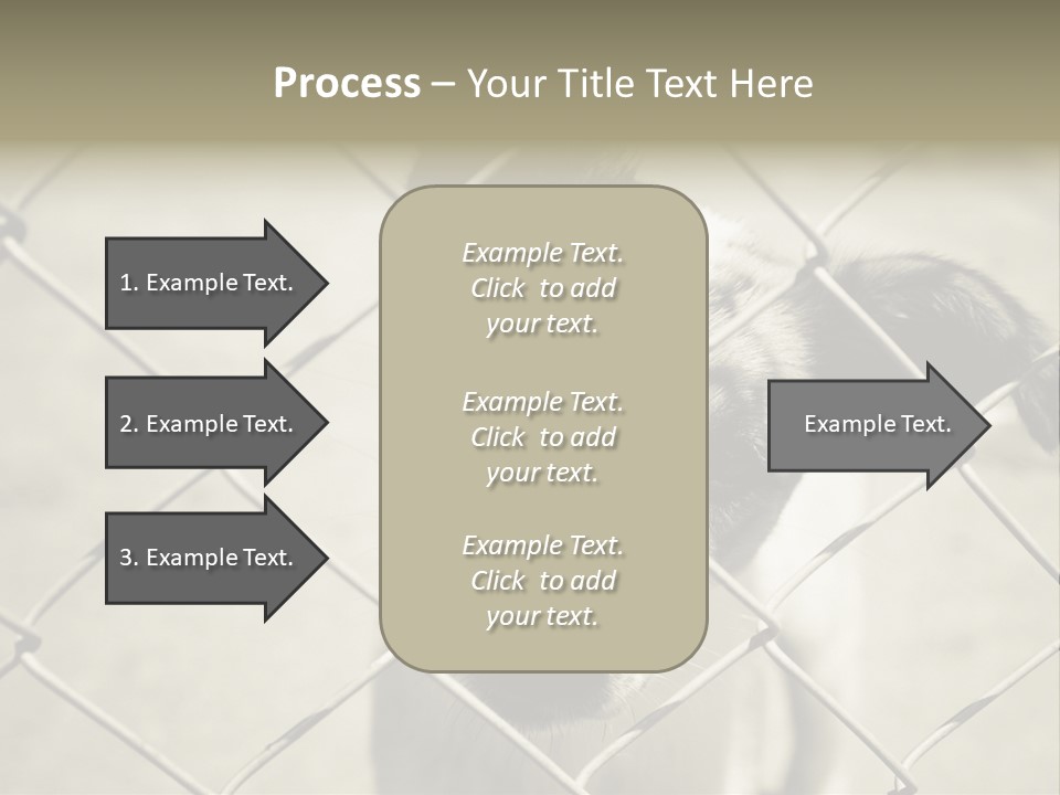 Animal Caged Homeless PowerPoint Template
