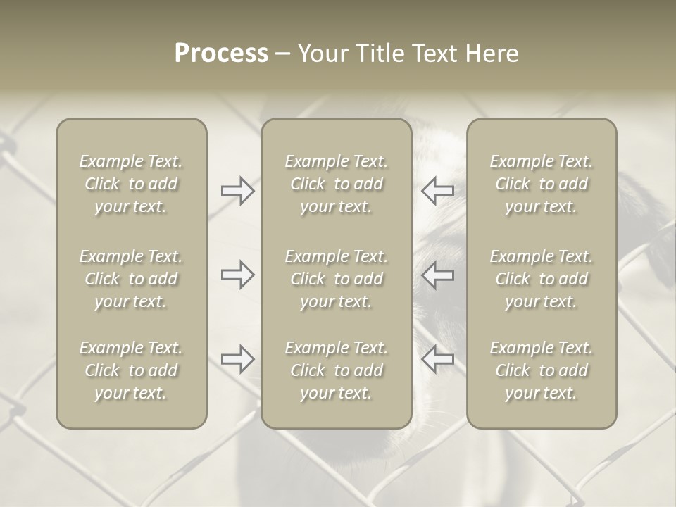 Animal Caged Homeless PowerPoint Template