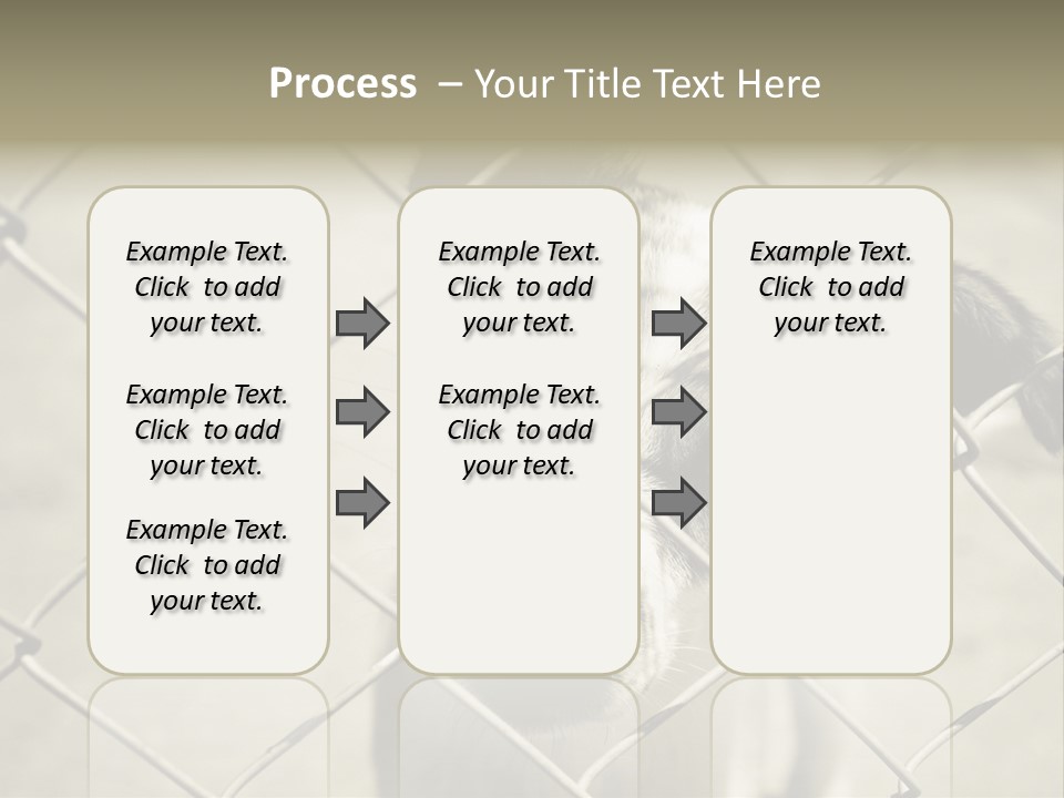 Animal Caged Homeless PowerPoint Template