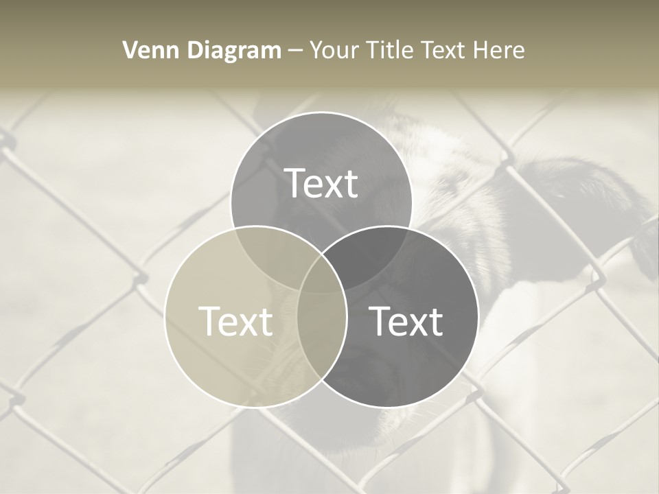 Animal Caged Homeless PowerPoint Template