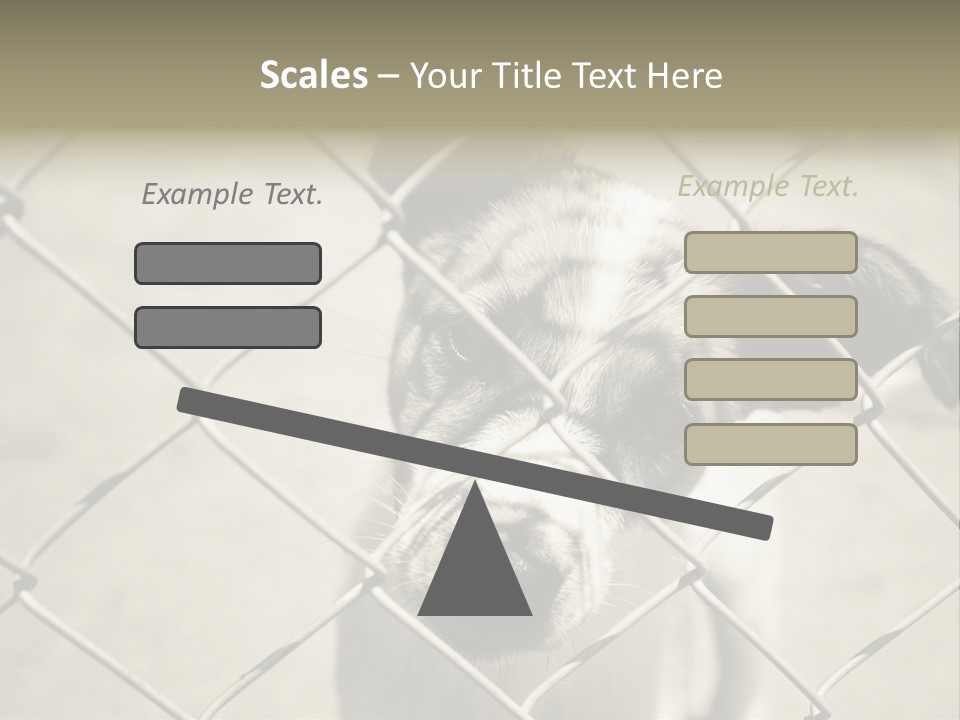 Animal Caged Homeless PowerPoint Template