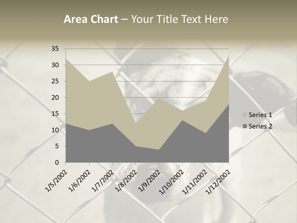 Animal Caged Homeless PowerPoint Template