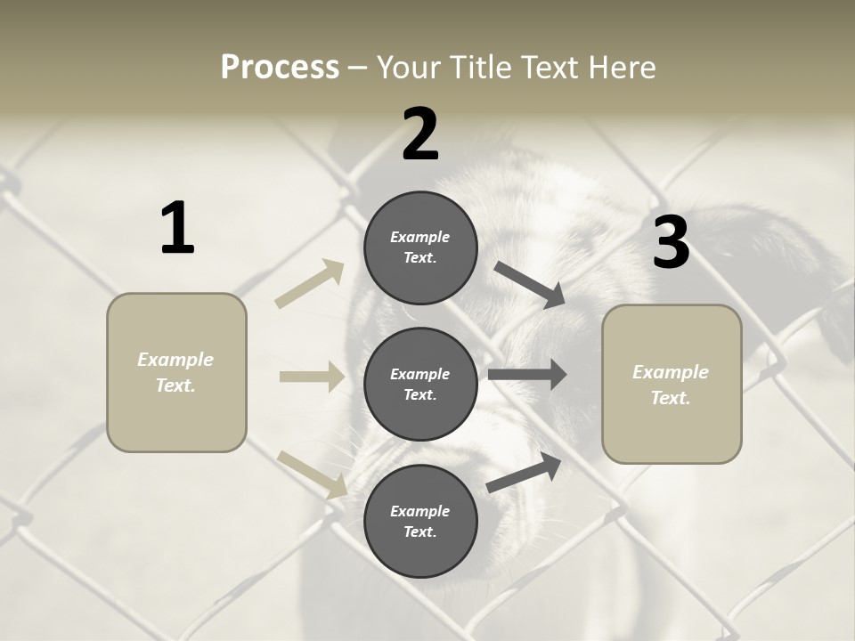 Animal Caged Homeless PowerPoint Template