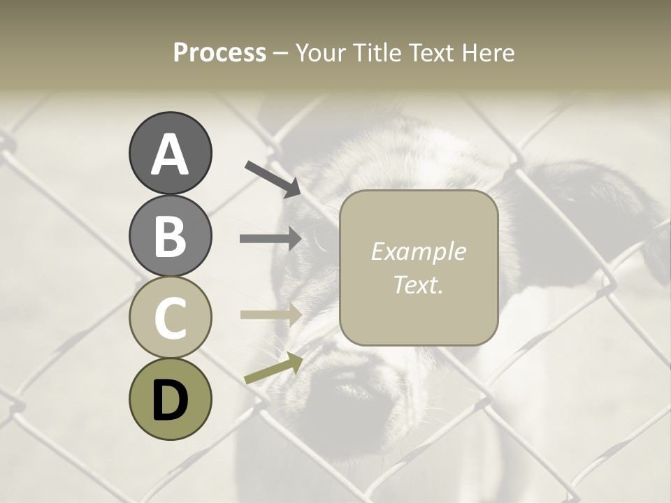 Animal Caged Homeless PowerPoint Template