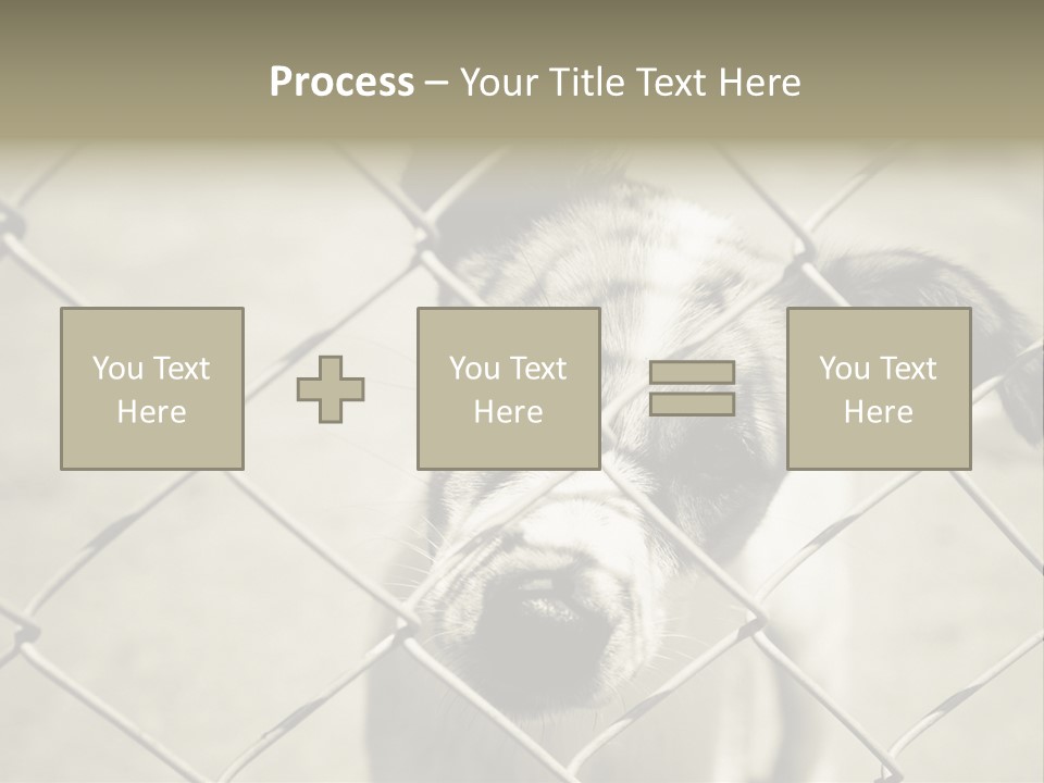 Animal Caged Homeless PowerPoint Template