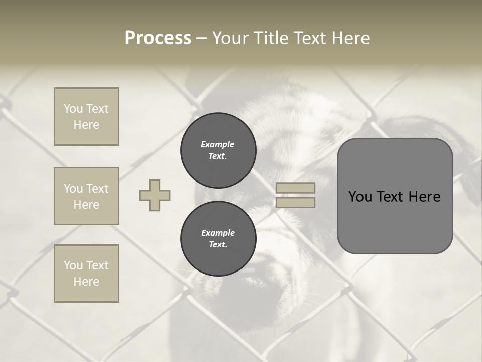 Animal Caged Homeless PowerPoint Template