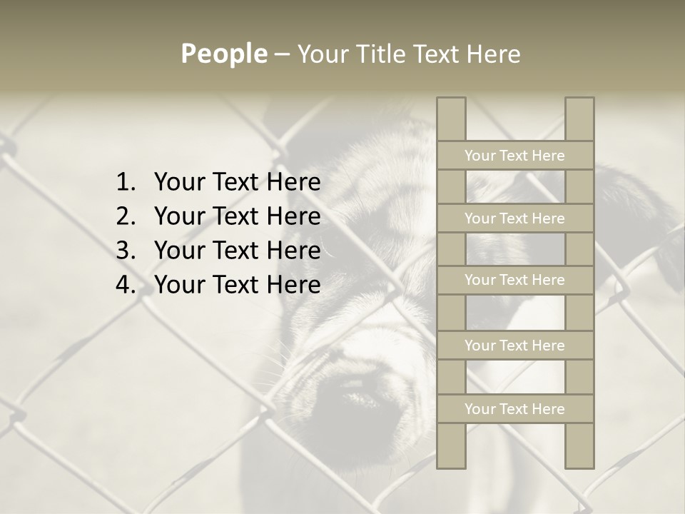 Animal Caged Homeless PowerPoint Template