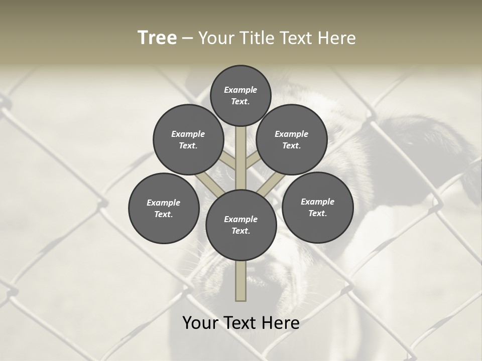 Animal Caged Homeless PowerPoint Template