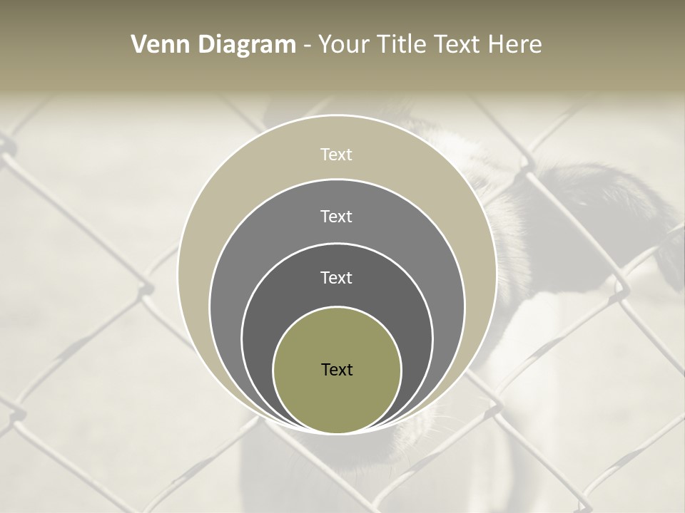 Animal Caged Homeless PowerPoint Template