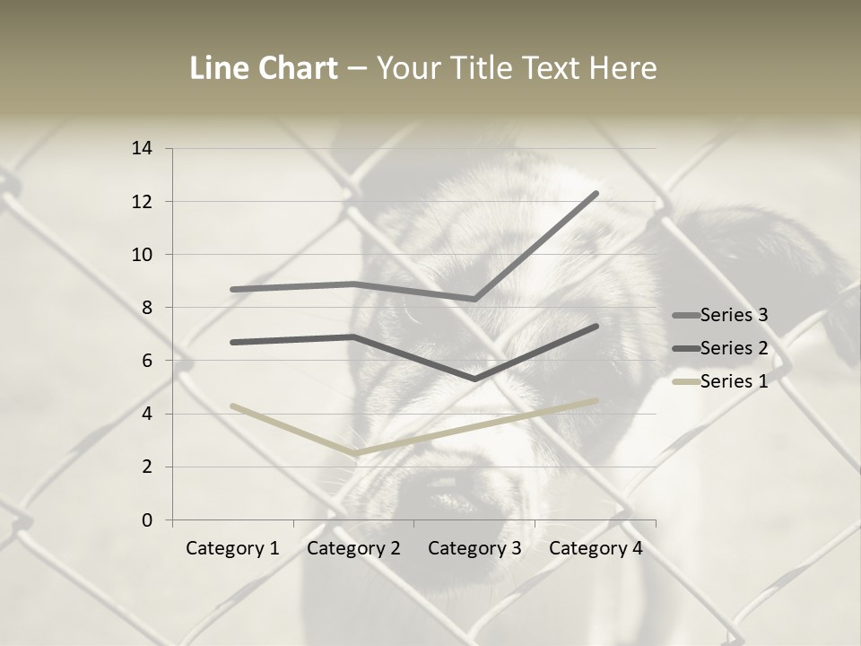 Animal Caged Homeless PowerPoint Template