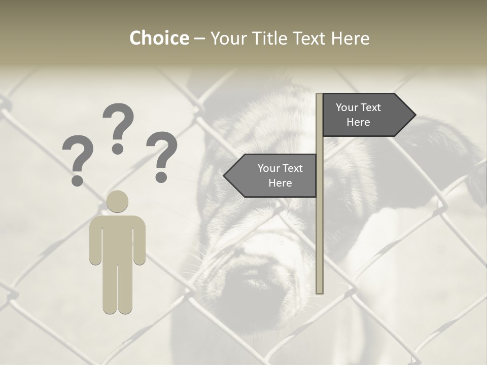 Animal Caged Homeless PowerPoint Template