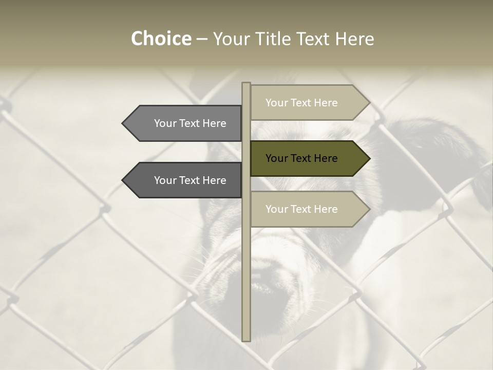 Animal Caged Homeless PowerPoint Template