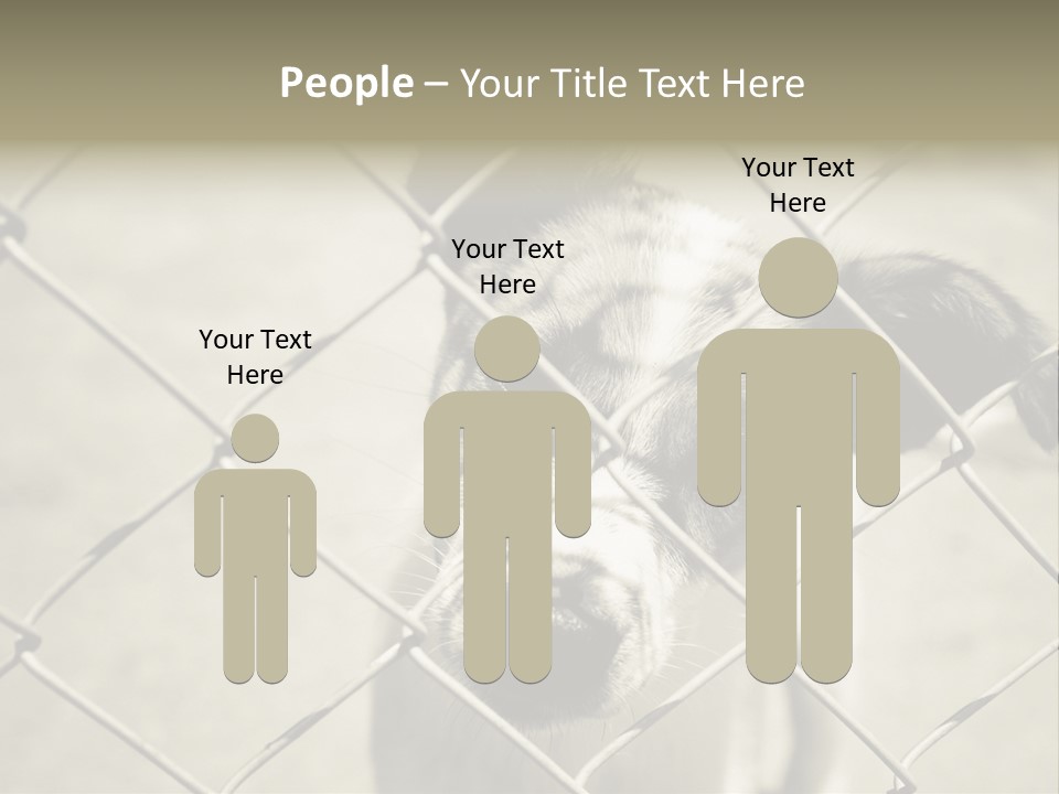 Animal Caged Homeless PowerPoint Template