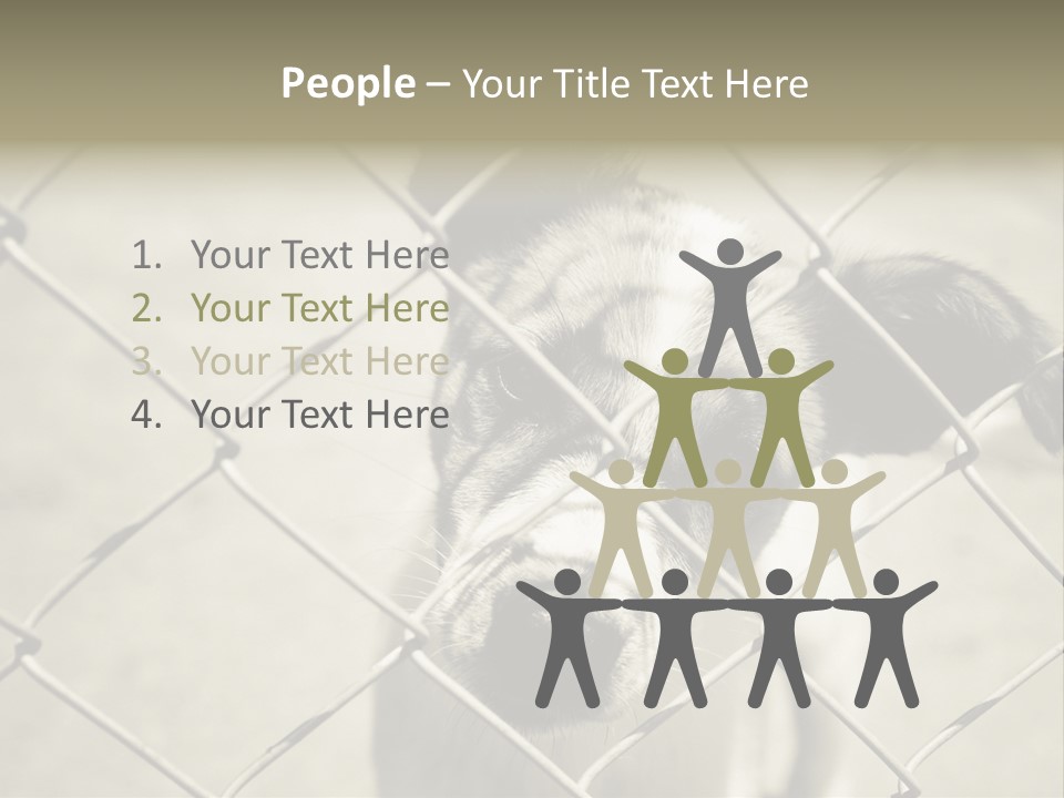 Animal Caged Homeless PowerPoint Template