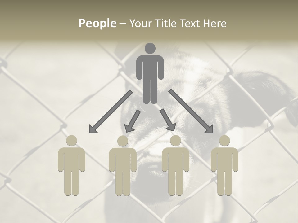 Animal Caged Homeless PowerPoint Template