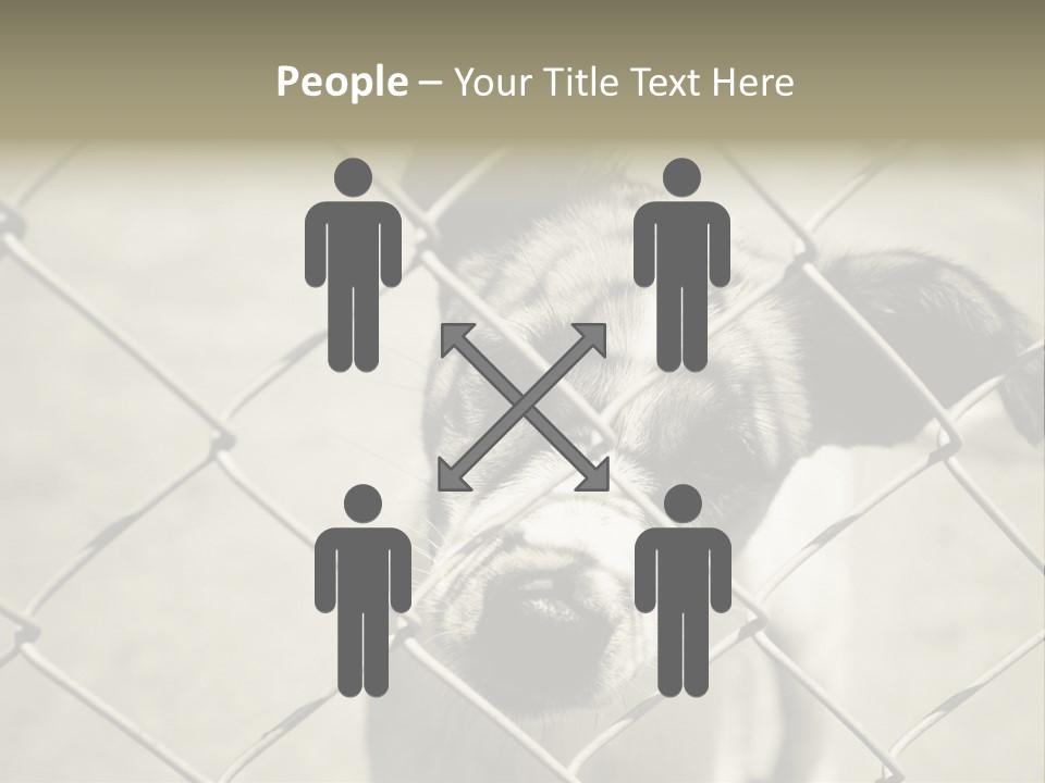 Animal Caged Homeless PowerPoint Template
