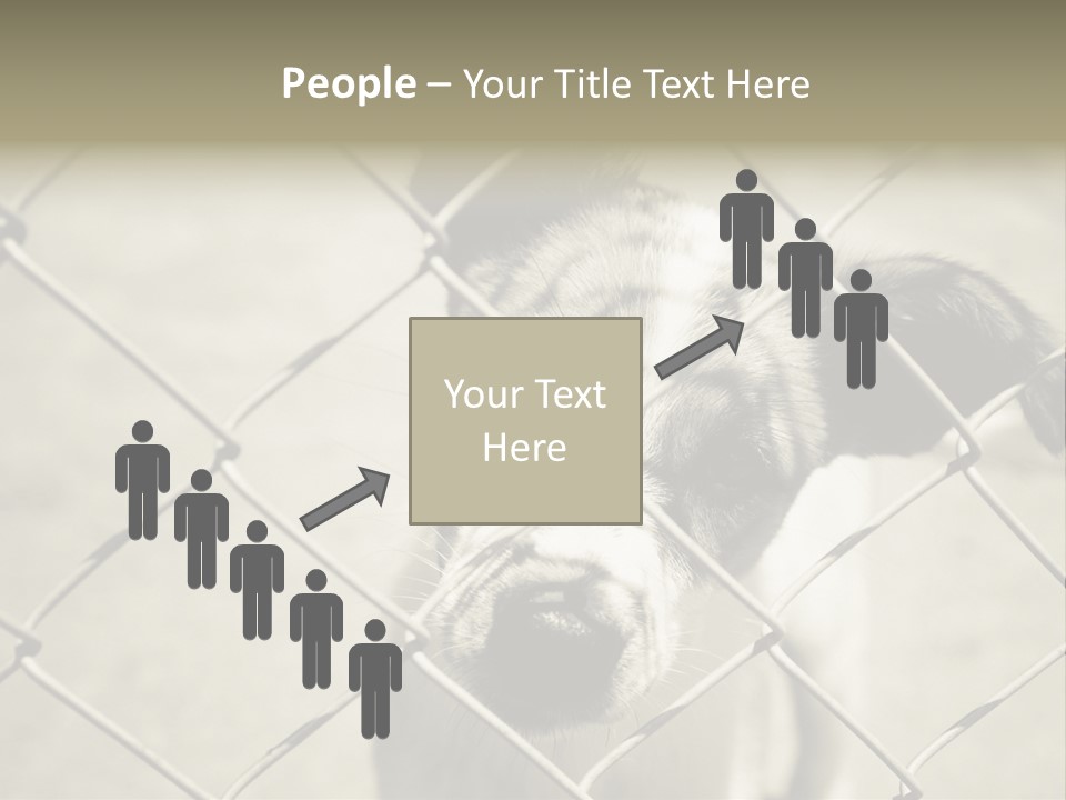 Animal Caged Homeless PowerPoint Template