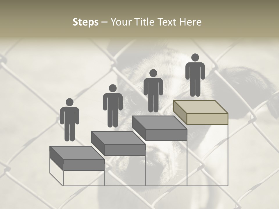 Animal Caged Homeless PowerPoint Template