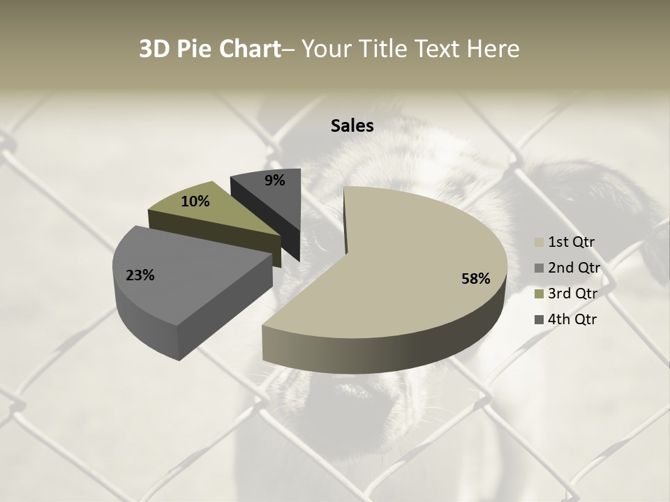 Animal Caged Homeless PowerPoint Template
