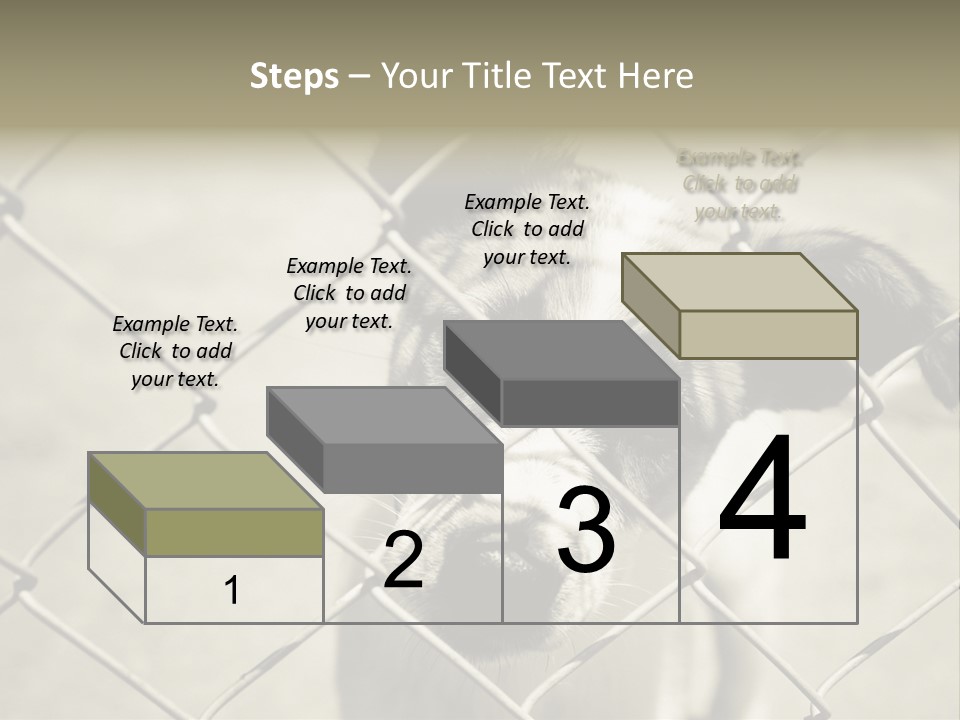 Animal Caged Homeless PowerPoint Template