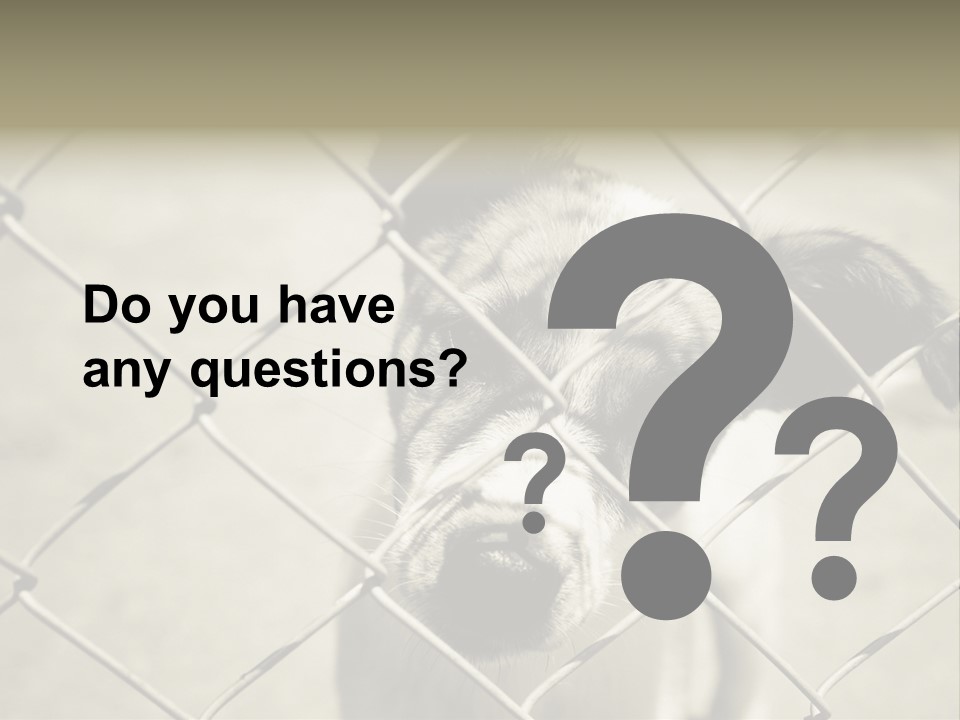 Animal Caged Homeless PowerPoint Template