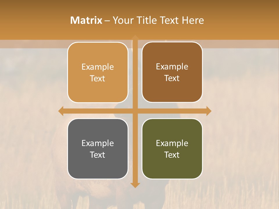 Park Contact Madison PowerPoint Template