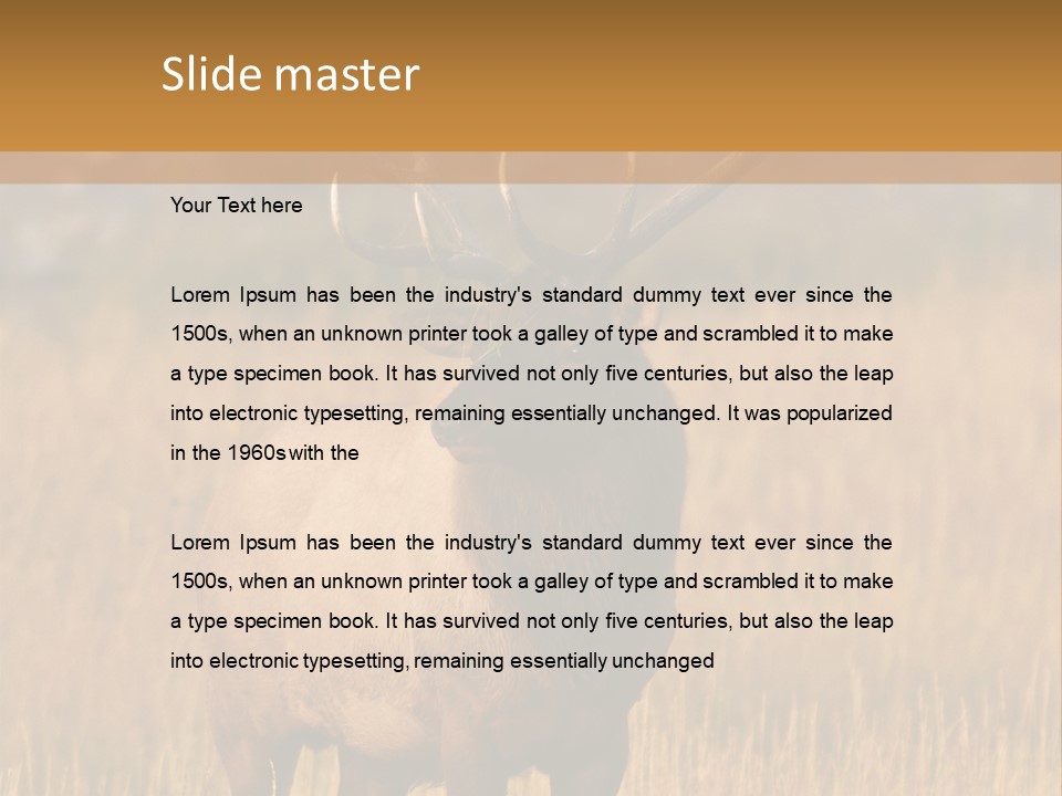 Park Contact Madison PowerPoint Template