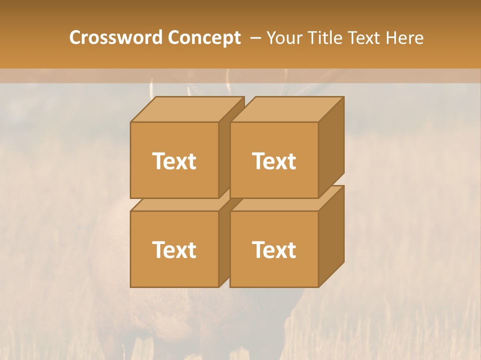 Park Contact Madison PowerPoint Template