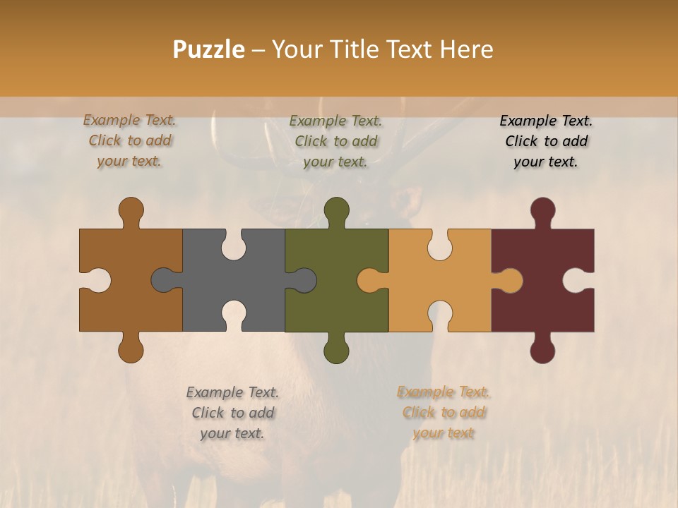 Park Contact Madison PowerPoint Template