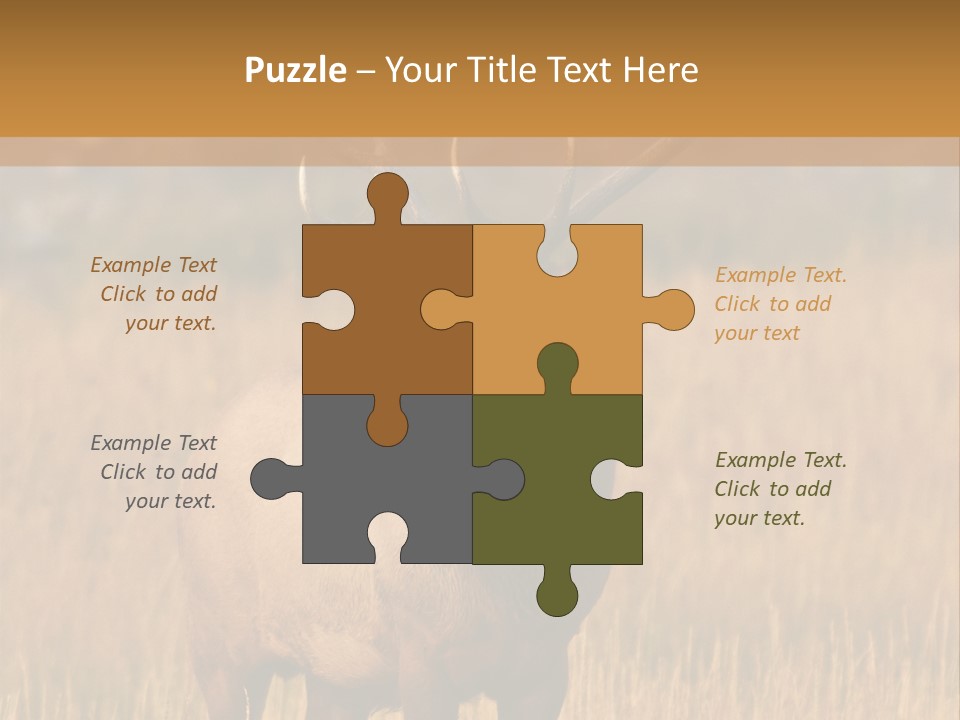 Park Contact Madison PowerPoint Template