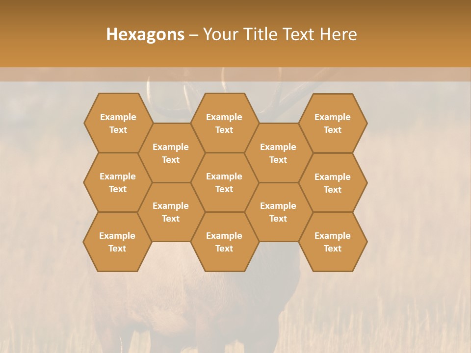 Park Contact Madison PowerPoint Template