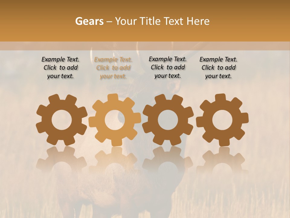 Park Contact Madison PowerPoint Template