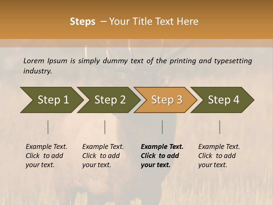 Park Contact Madison PowerPoint Template
