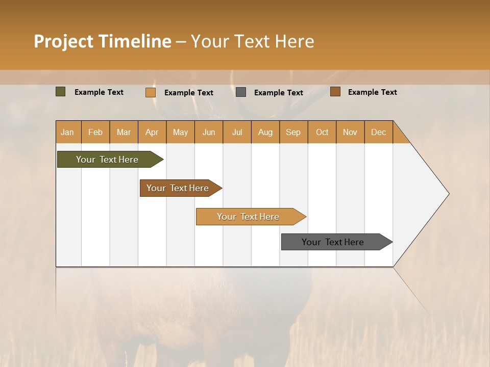 Park Contact Madison PowerPoint Template