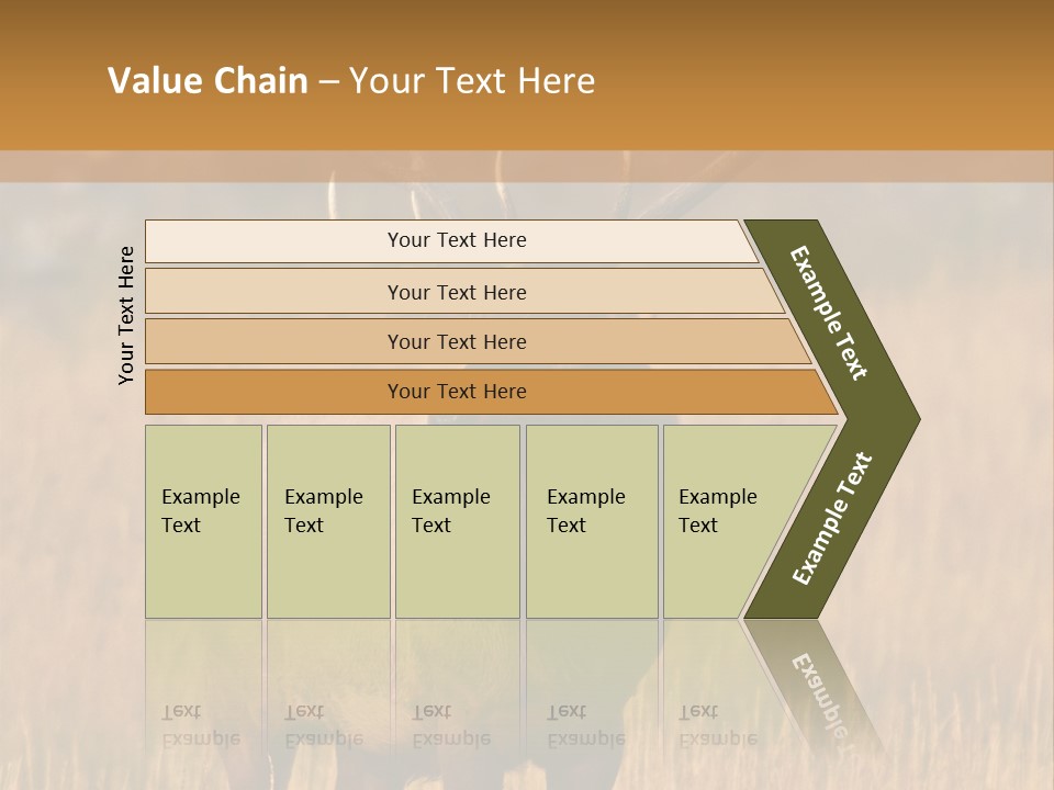 Park Contact Madison PowerPoint Template