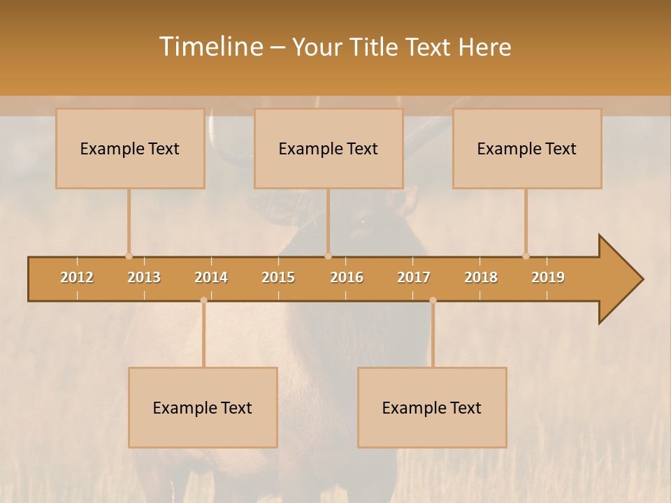 Park Contact Madison PowerPoint Template