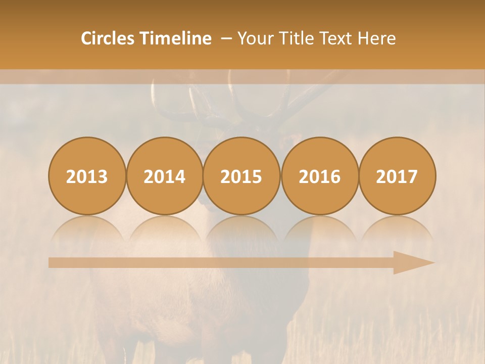 Park Contact Madison PowerPoint Template