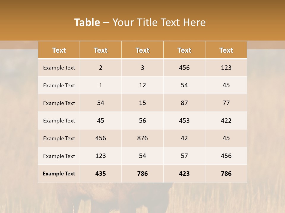 Park Contact Madison PowerPoint Template