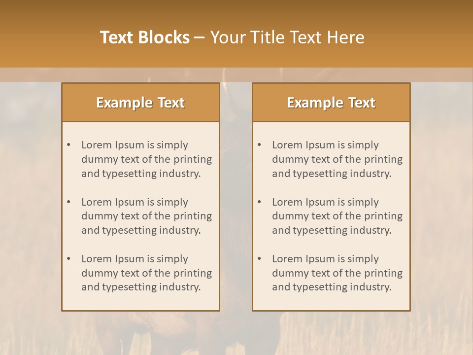 Park Contact Madison PowerPoint Template