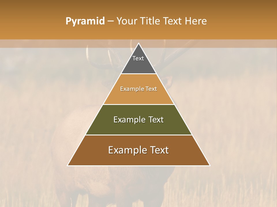 Park Contact Madison PowerPoint Template