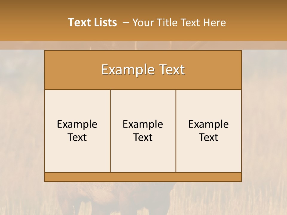 Park Contact Madison PowerPoint Template