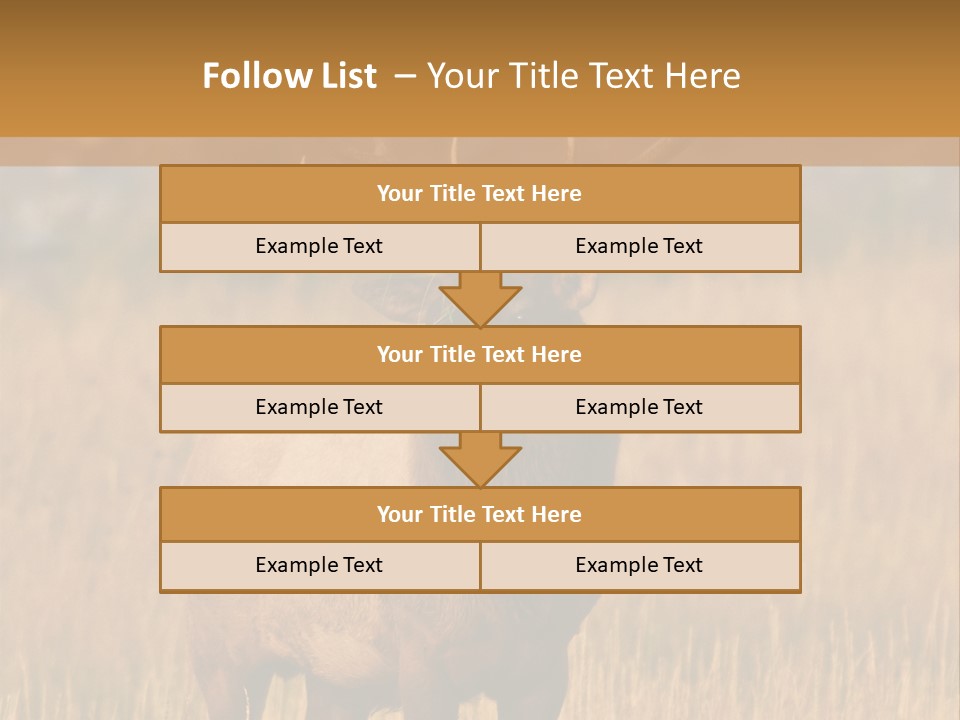 Park Contact Madison PowerPoint Template
