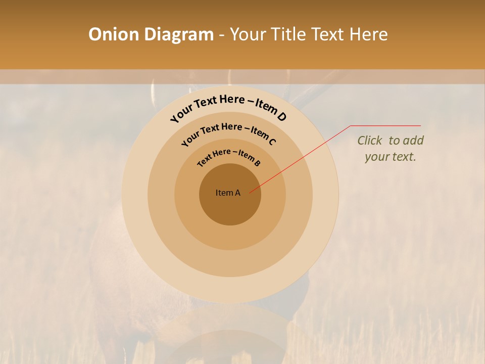 Park Contact Madison PowerPoint Template