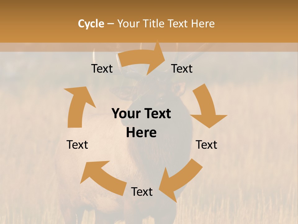 Park Contact Madison PowerPoint Template