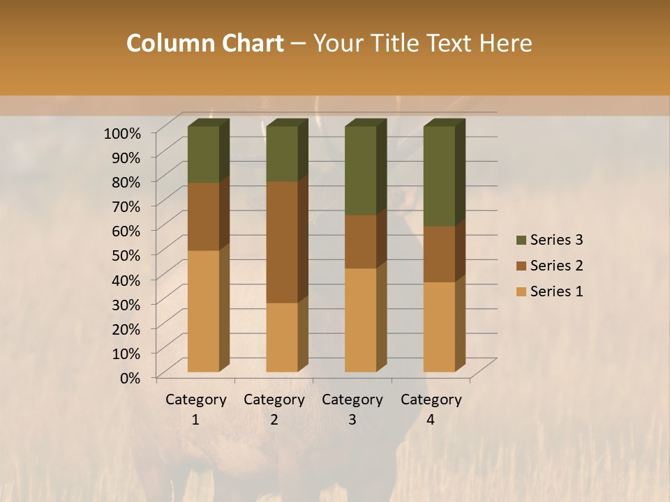 Park Contact Madison PowerPoint Template