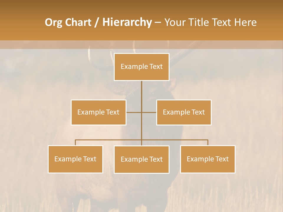 Park Contact Madison PowerPoint Template