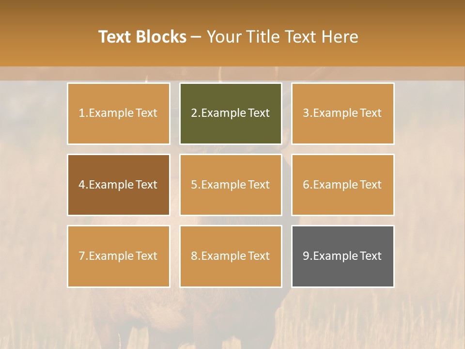 Park Contact Madison PowerPoint Template