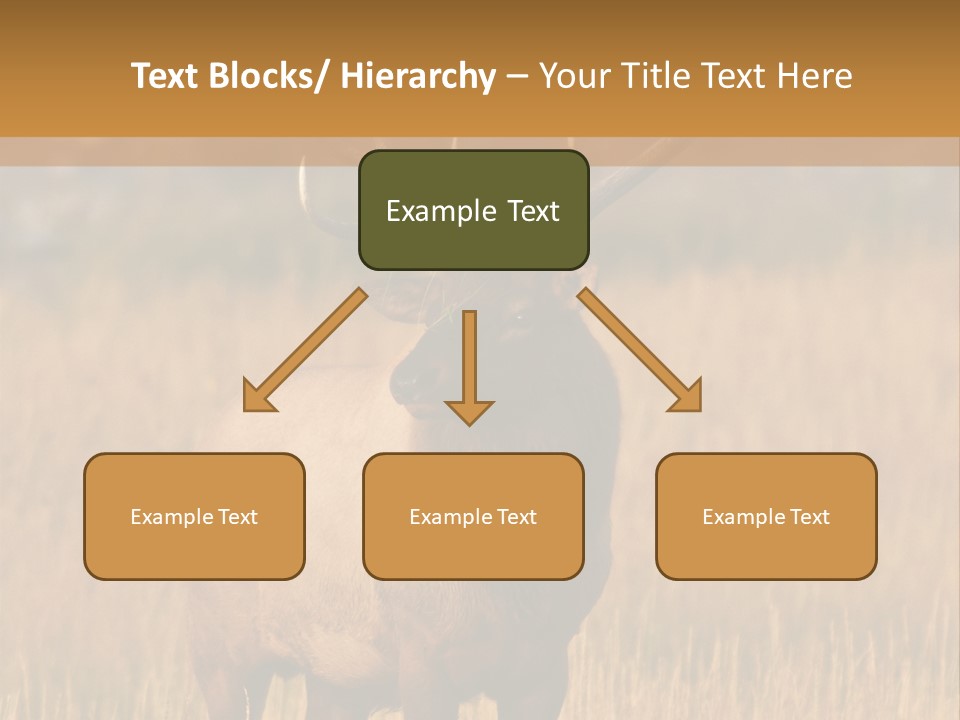Park Contact Madison PowerPoint Template