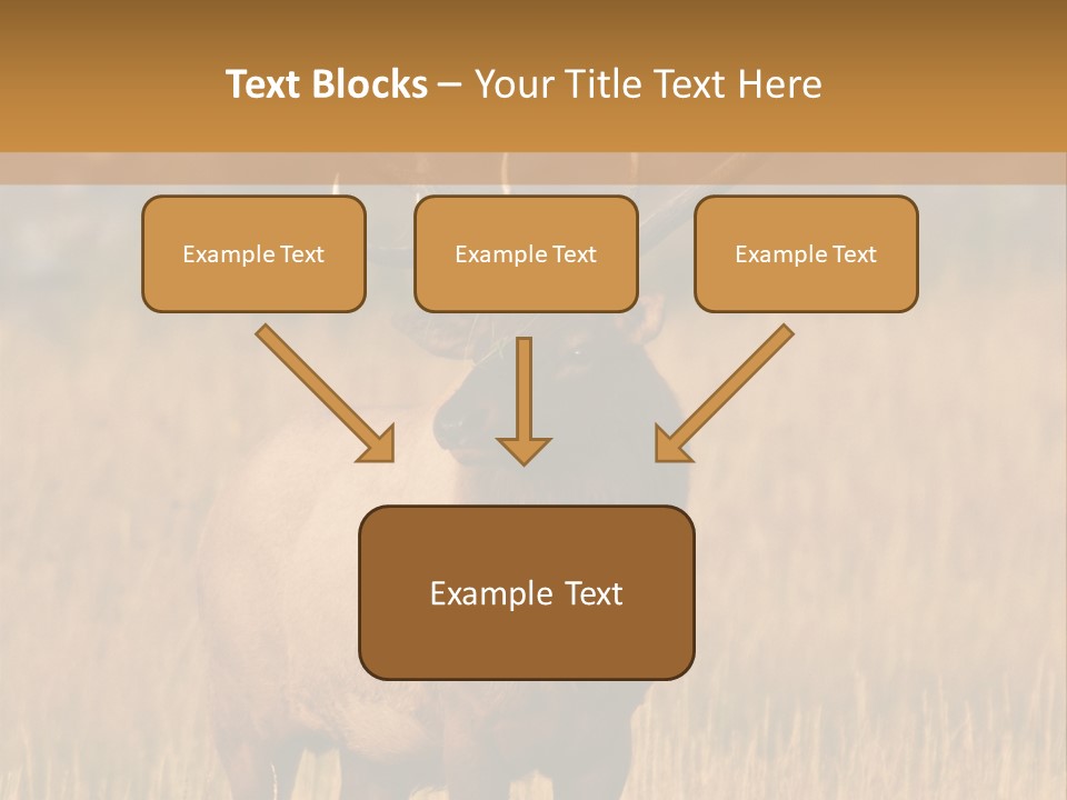 Park Contact Madison PowerPoint Template