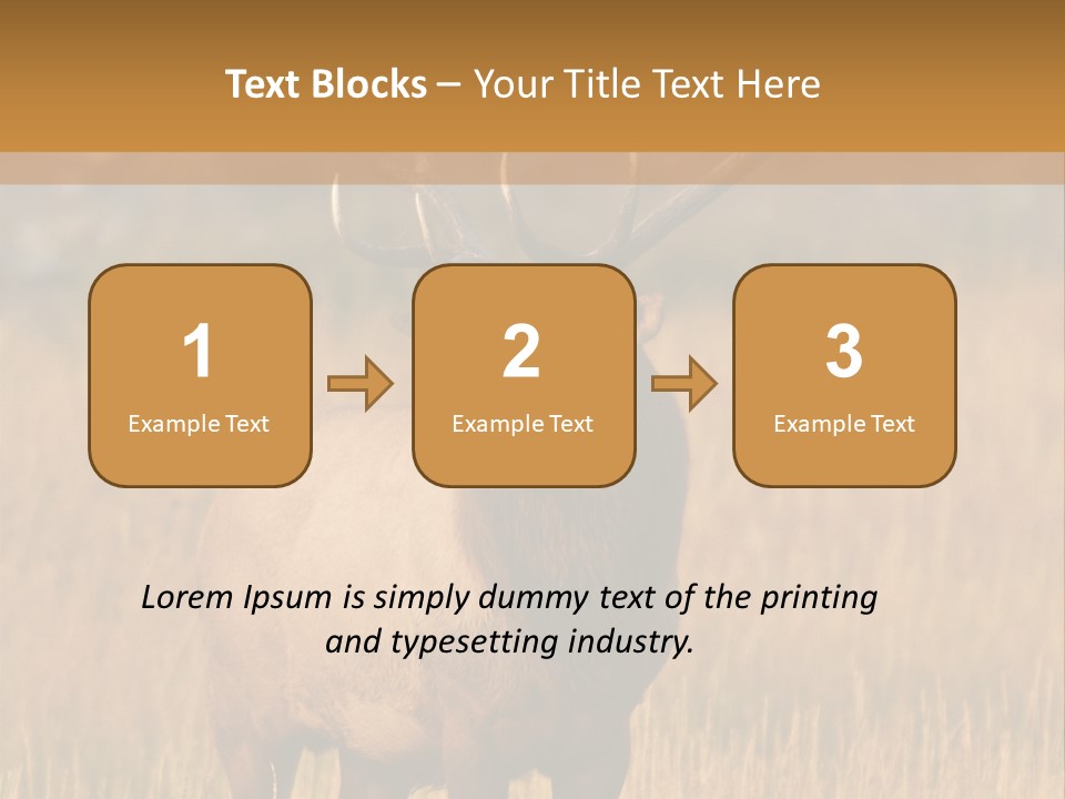 Park Contact Madison PowerPoint Template